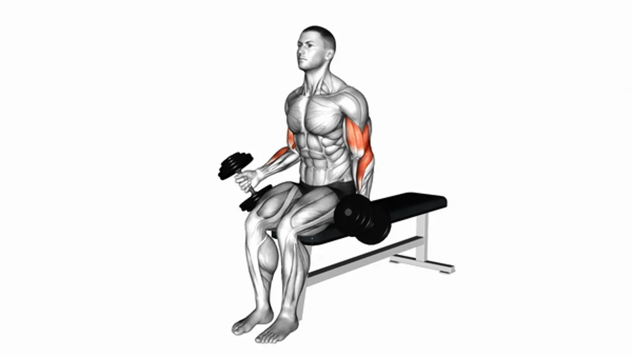 Dumbbell Alternate Biceps Curl