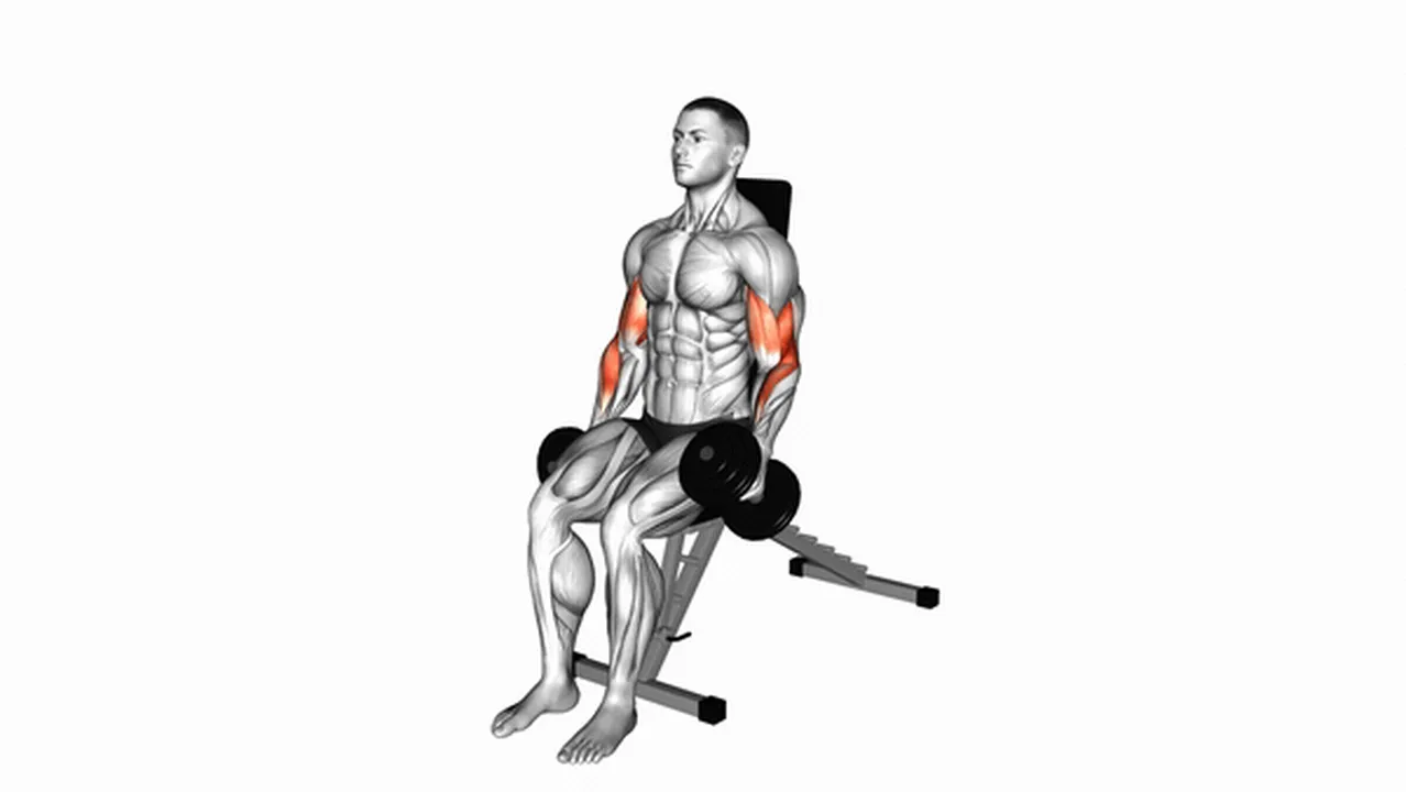 What are the benefits of Dumbbell Alternate Seated Hammer Curls? Image