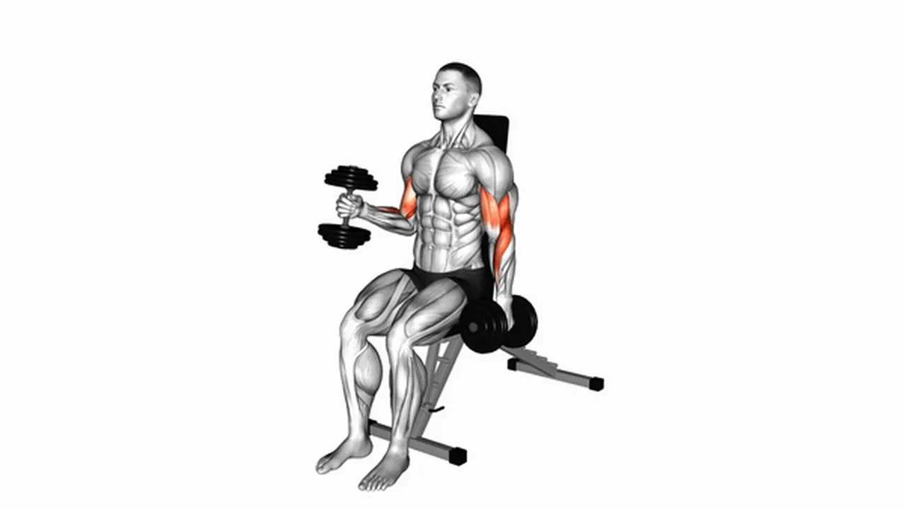 Common Dumbbell Alternate Seated Hammer Curl variations Image