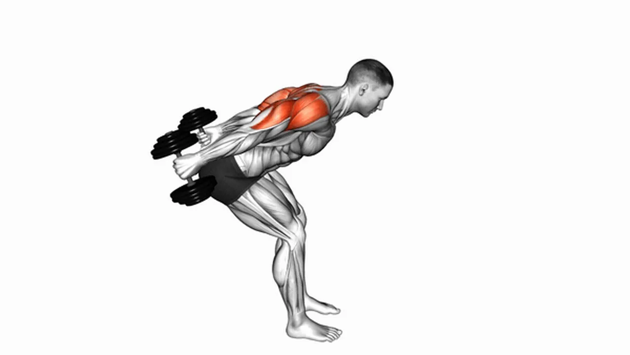 Common Dumbbell Bent Over Reverse Raise variations Image