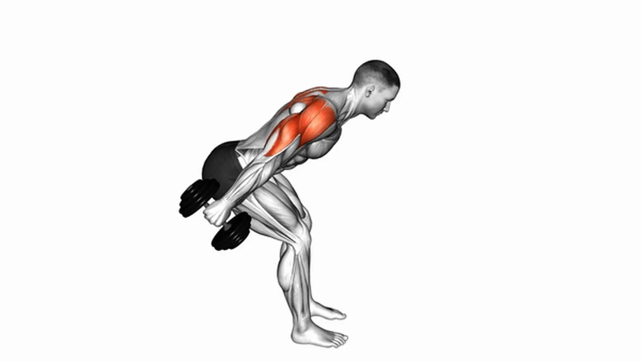 Alternatives to Dumbbell Bent Over Reverse Raises Image