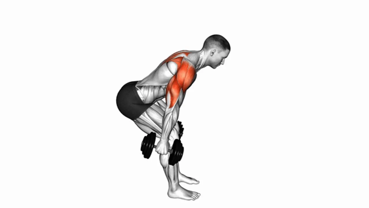 Dumbbell Bent Over Reverse Raise