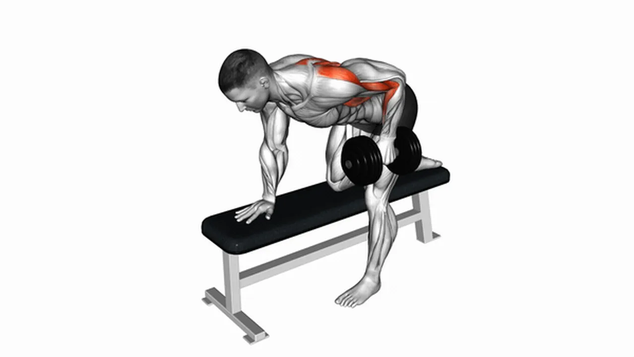 Alternatives to Dumbbell Bent Over Rows Image