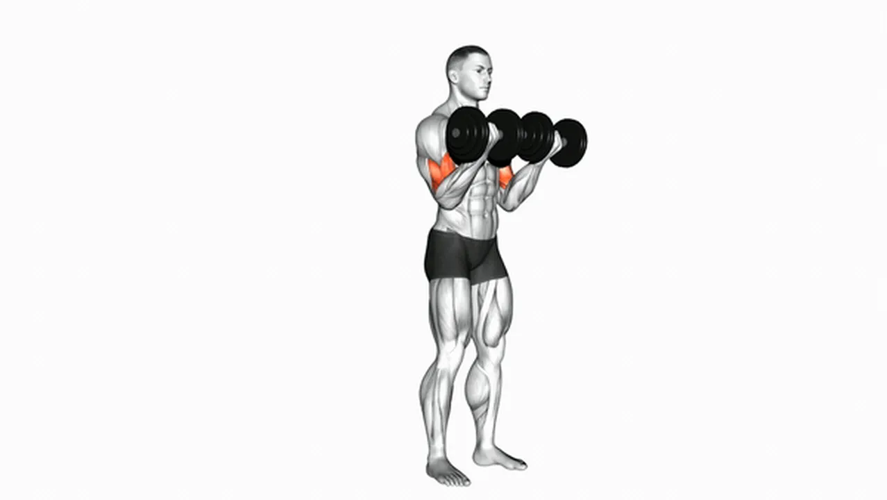 How to do dumbbell biceps curls? Image