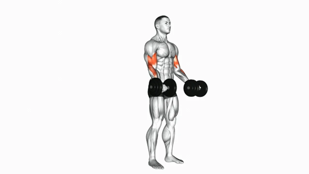 Dumbbell Biceps Curl