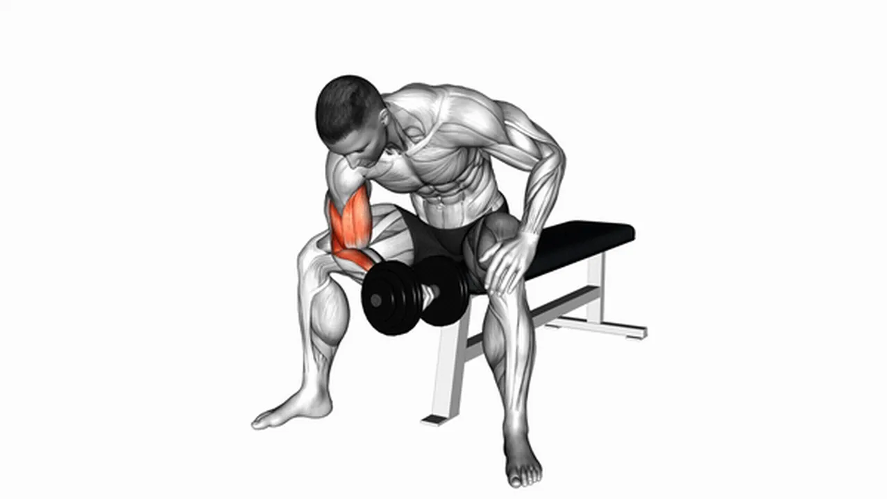 Common Dumbbell Concentration Curl variations Image