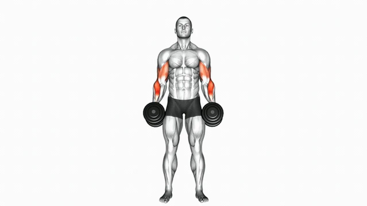 How to do Dumbbell Cross Body Hammer Curls? Image