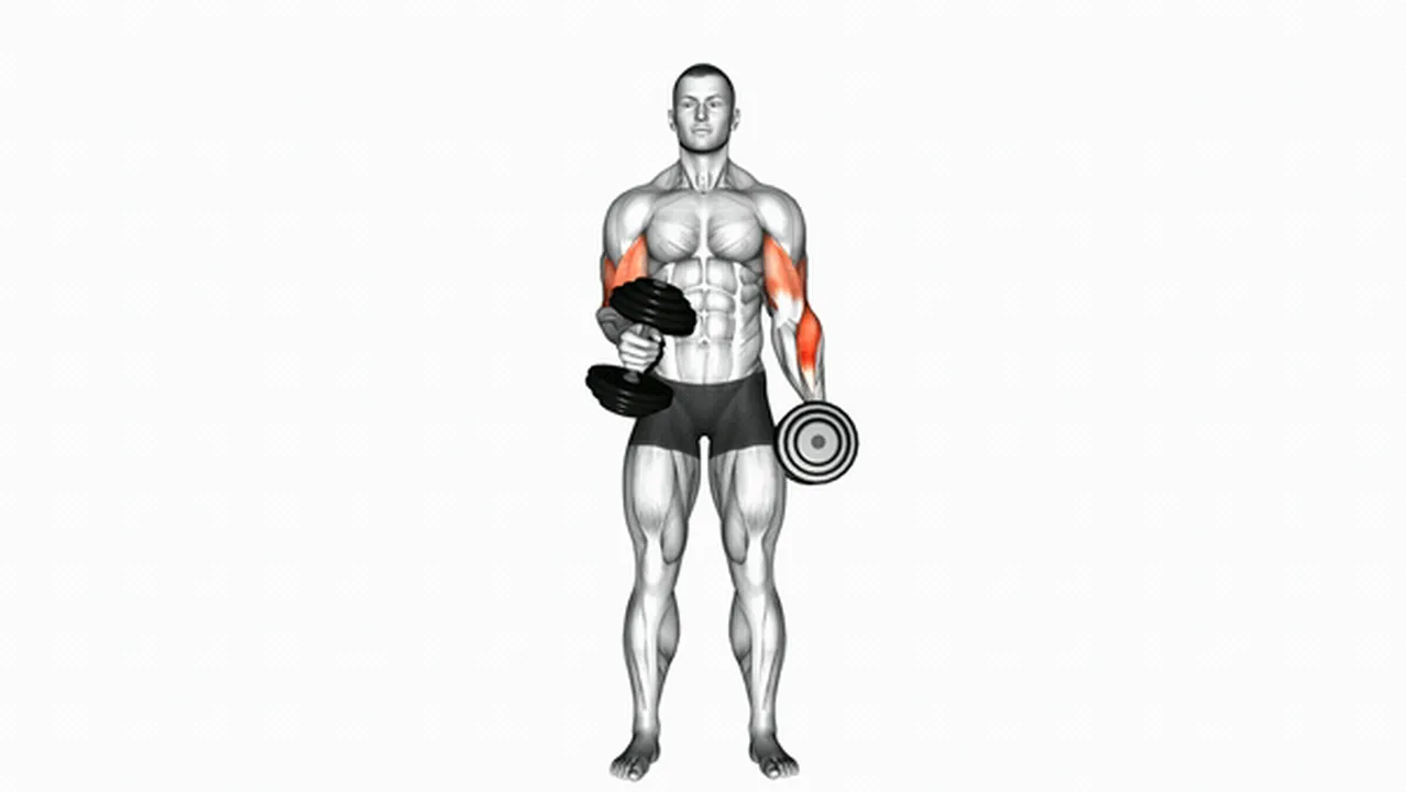 Common Dumbbell Cross Body Hammer Curl Variations Image