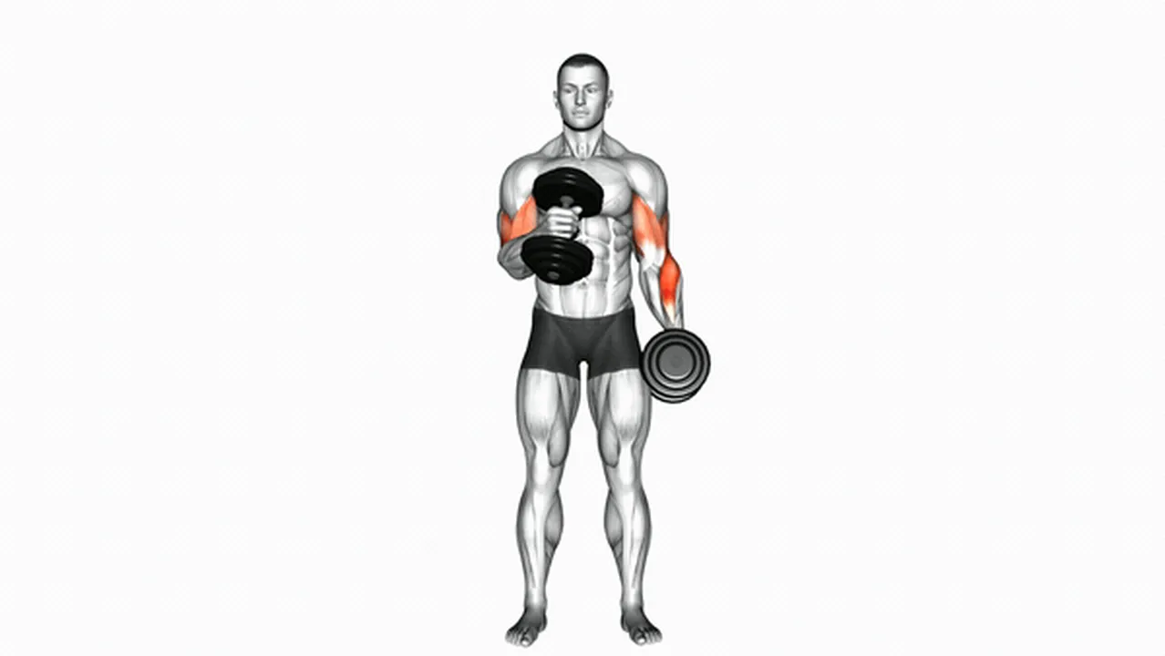 Alternatives to Dumbbell Cross Body Hammer Curls Image