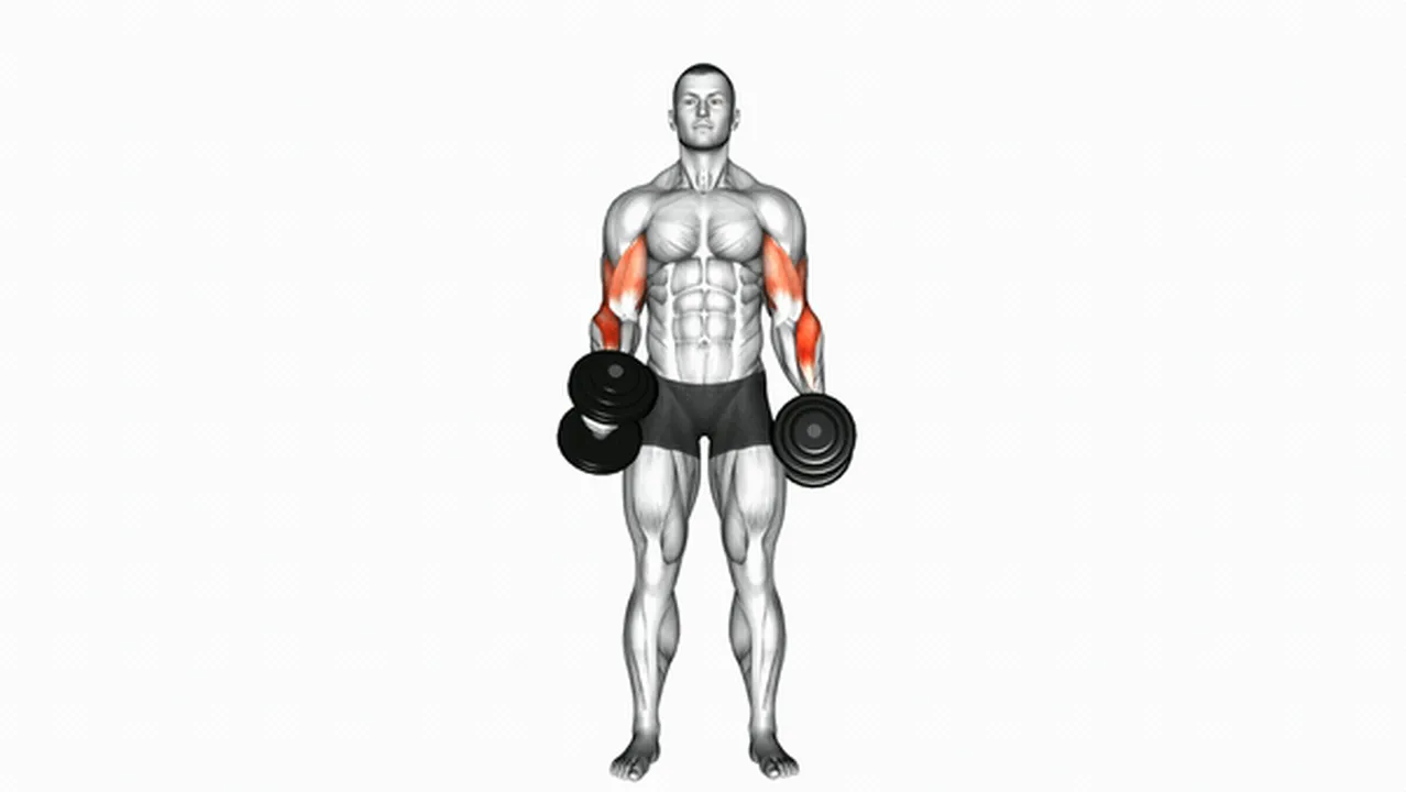 Common mistakes during Dumbbell Cross Body Hammer Curls Image