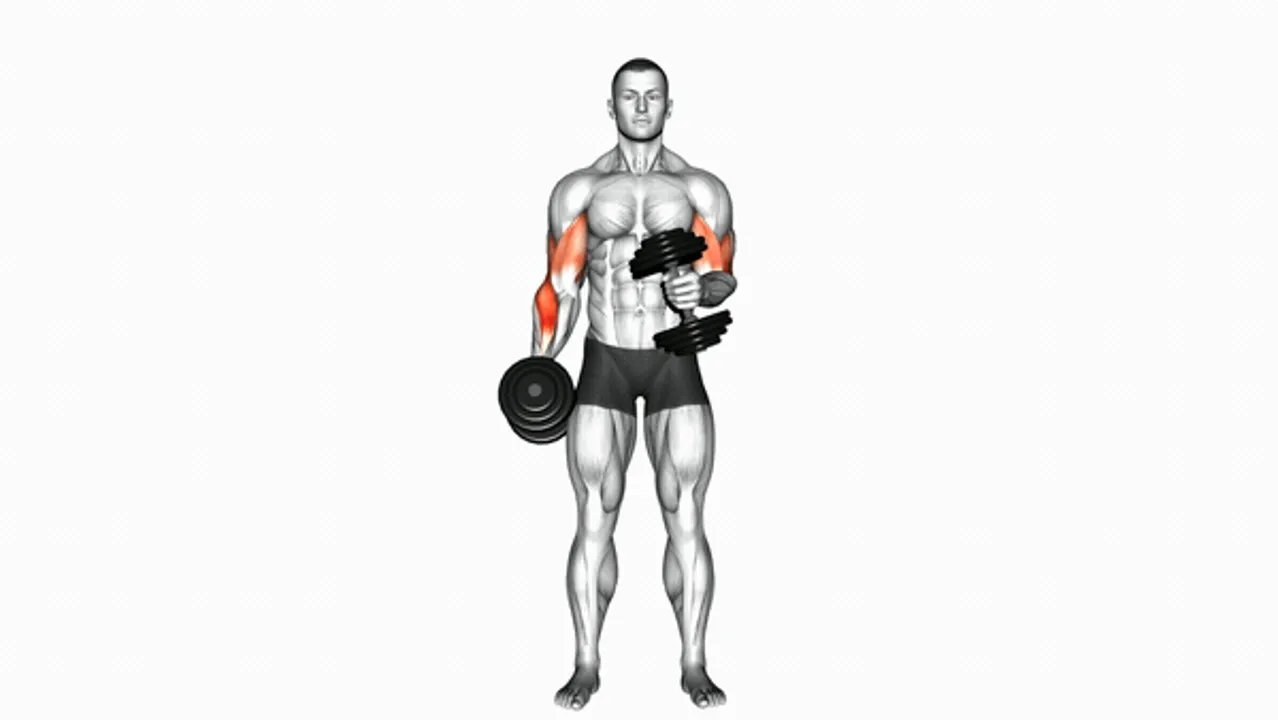 Dumbbell Cross Body Hammer Curl