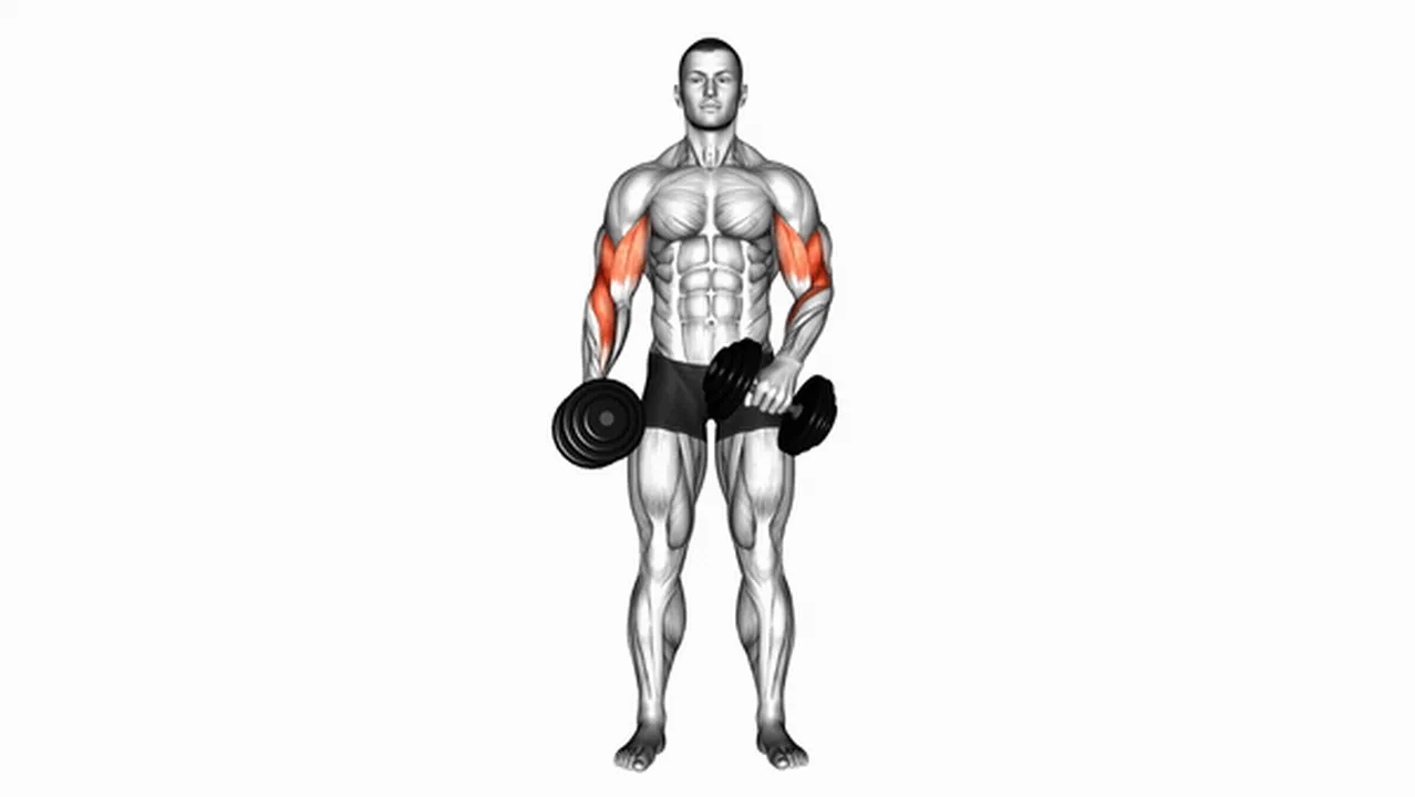 What are the benefits of Dumbbell Cross-Body Hammer Curls? Image