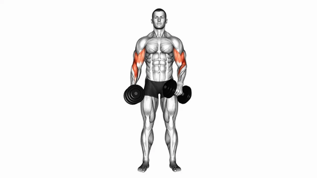 Common Dumbbell Cross-Body Hammer Curl variations Image