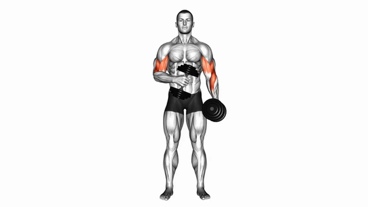 Alternatives to Dumbbell Cross-Body Hammer Curls Image