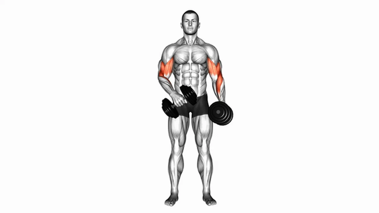 Common mistakes during Dumbbell Cross-Body Hammer Curls Image