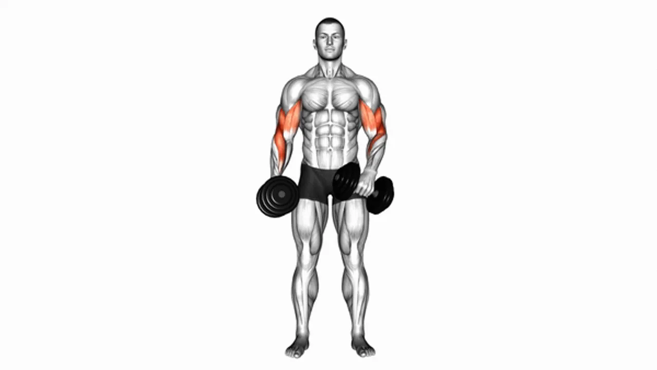 Dumbbell Cross-Body Hammer Curls