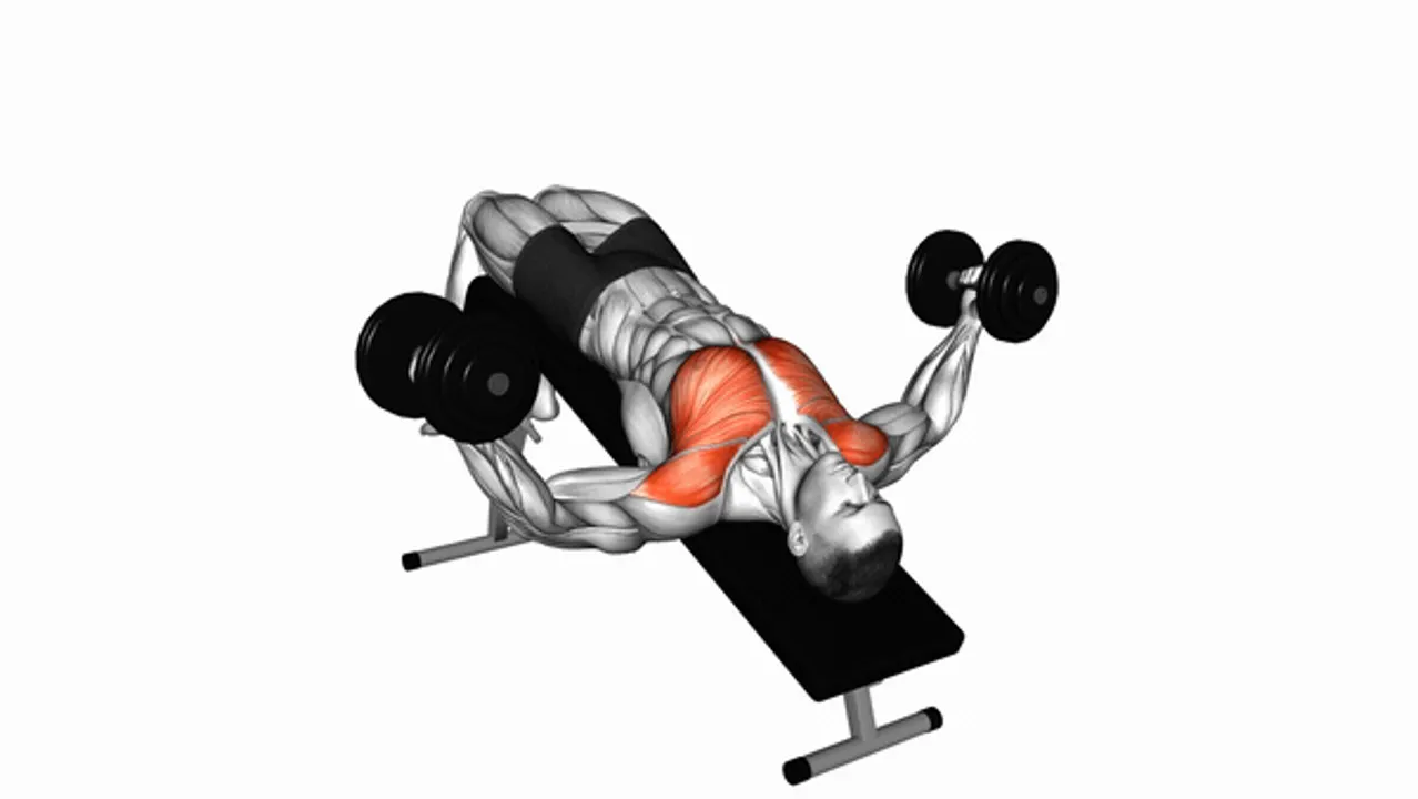 Dumbbell Decline Fly