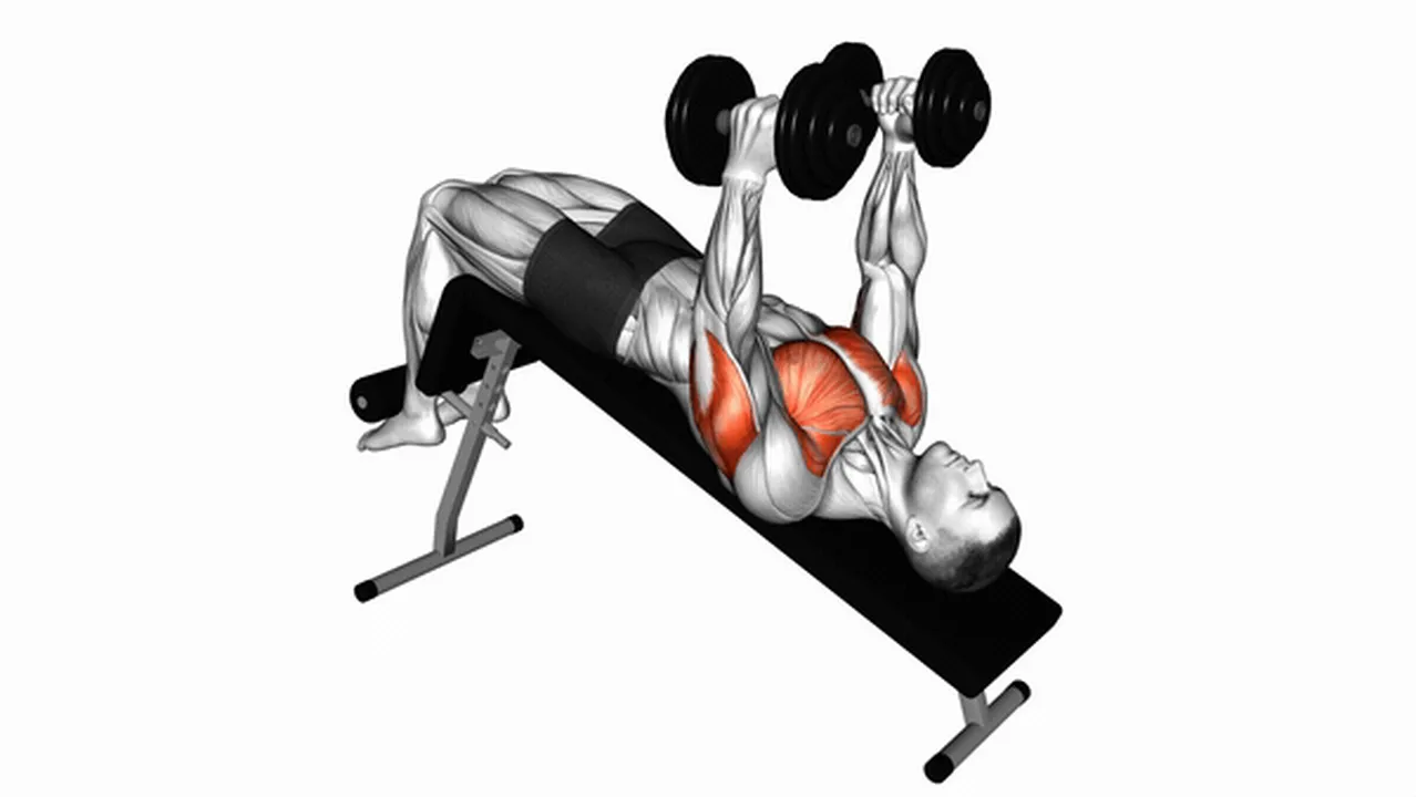 Alternatives to Dumbbell Decline Hammer Press Image