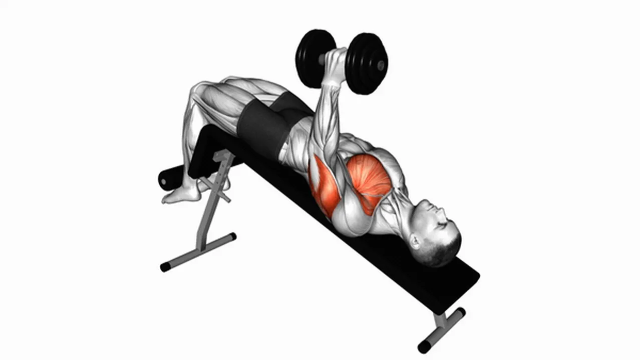 Alternatives to the Dumbbell Decline One Arm Hammer Press Image