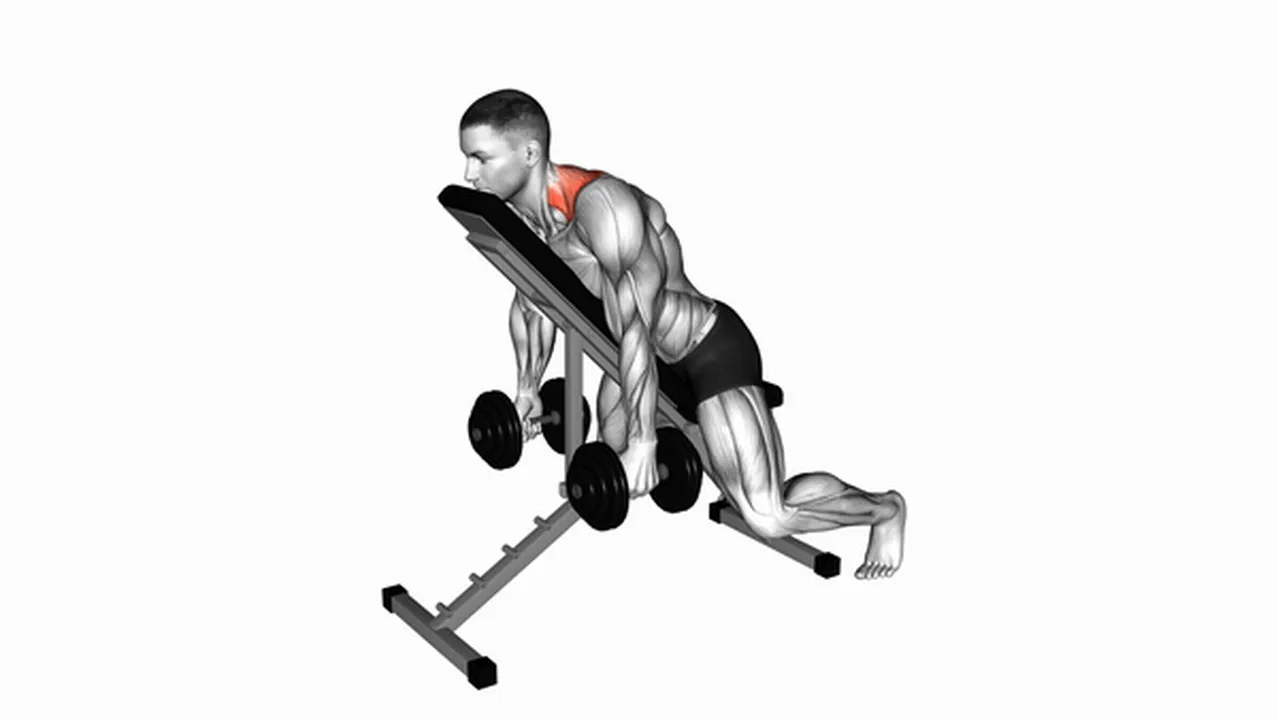 How to do the Dumbbell Decline Shrug? Image