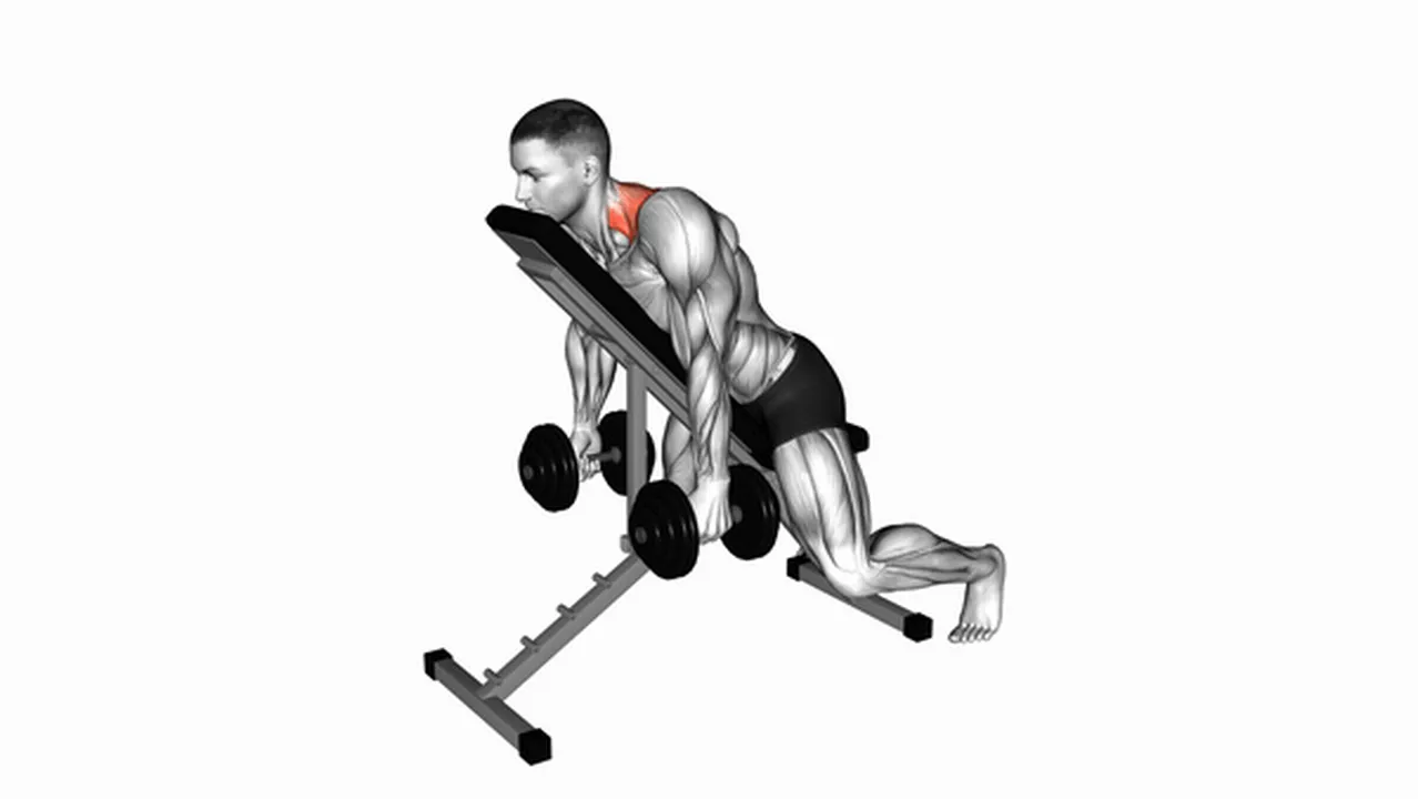 Common Dumbbell Decline Shrug variations Image