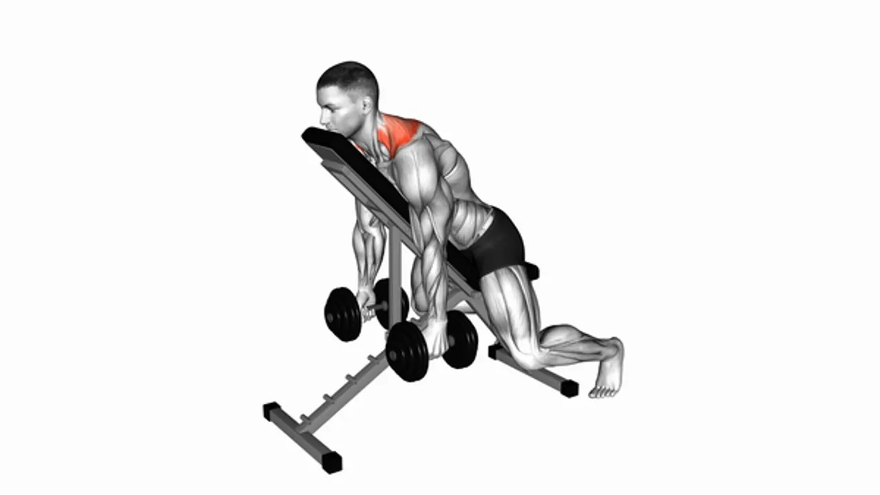 Dumbbell Decline Shrug