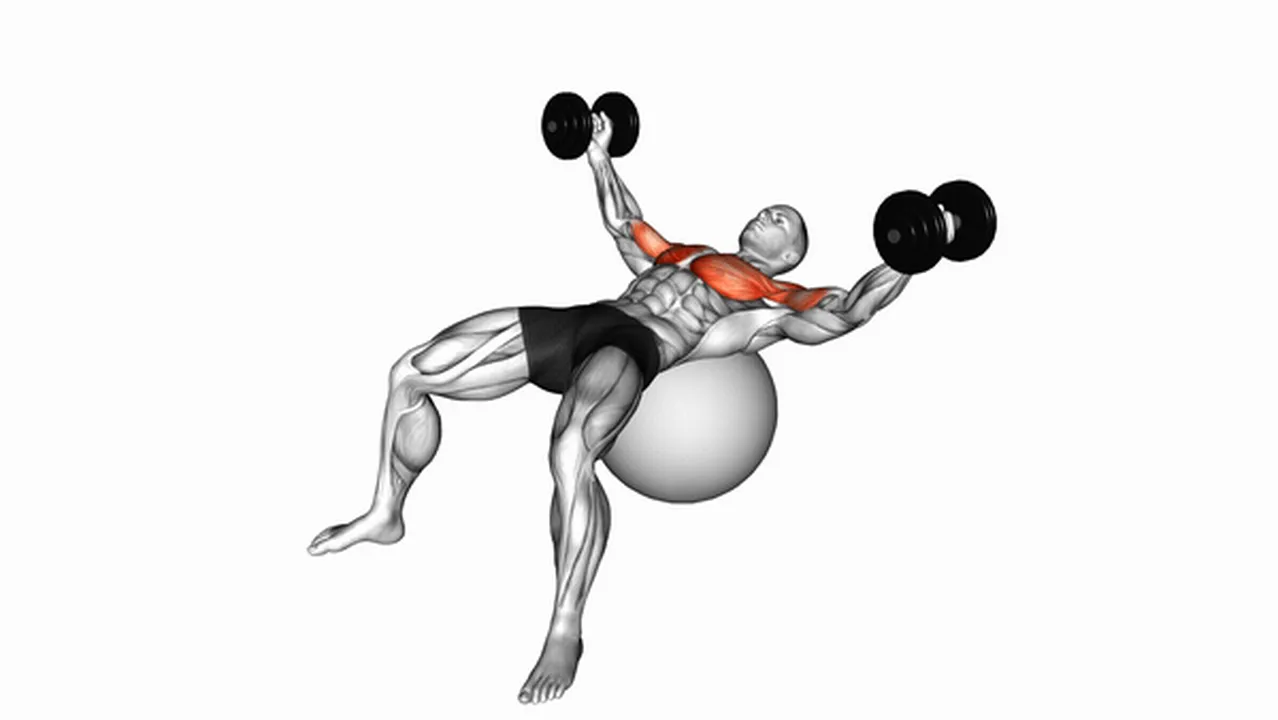 How to do Dumbbell Fly on Exercise Ball? Image