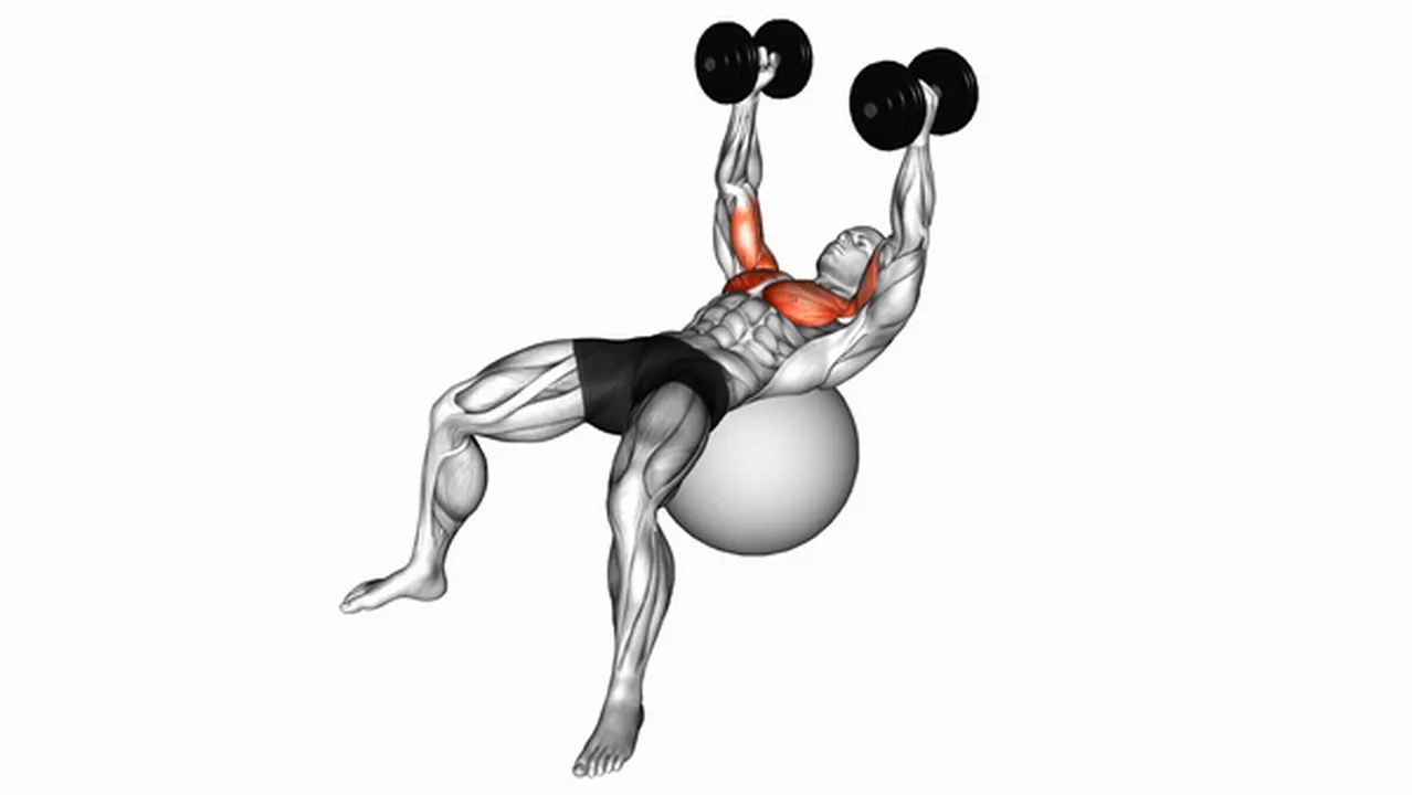 Common Dumbbell Fly on Exercise Ball variations Image