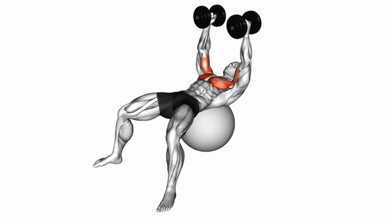 Alternatives to Dumbbell Fly on Exercise Ball Image