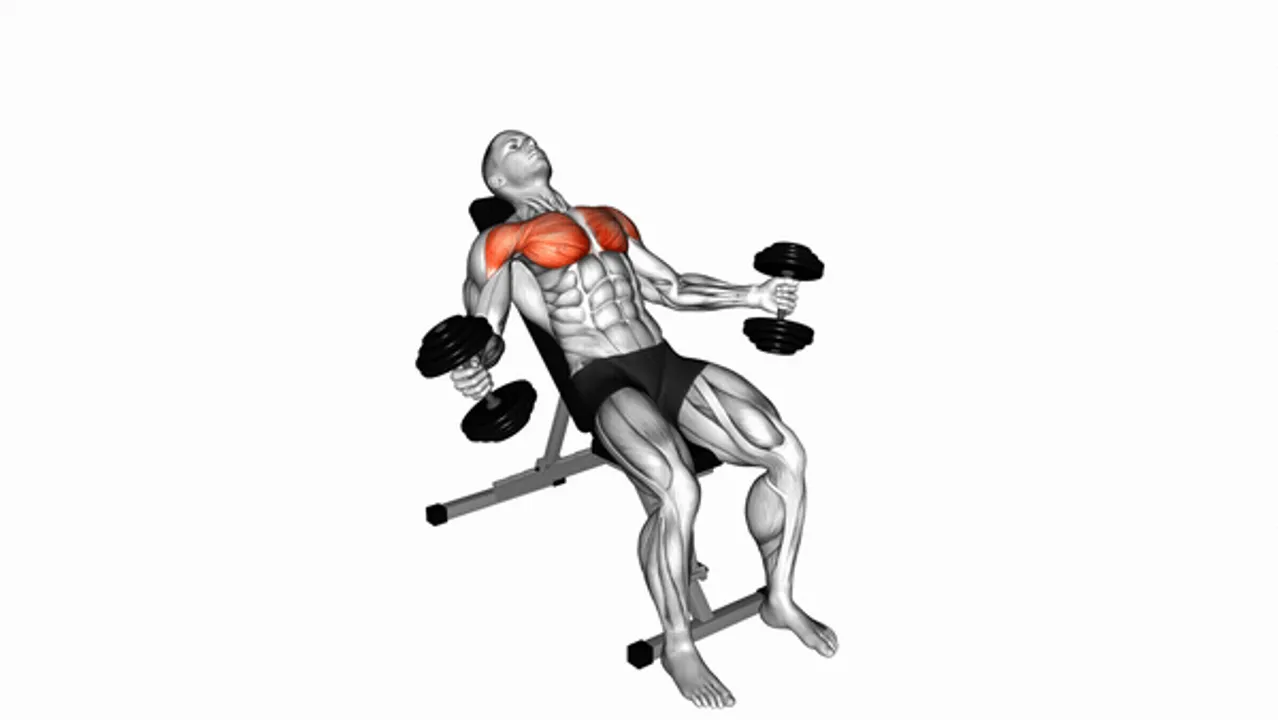 Dumbbell Fly