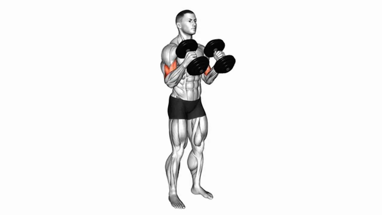 What are the benefits of dumbbell hammer curls? Image