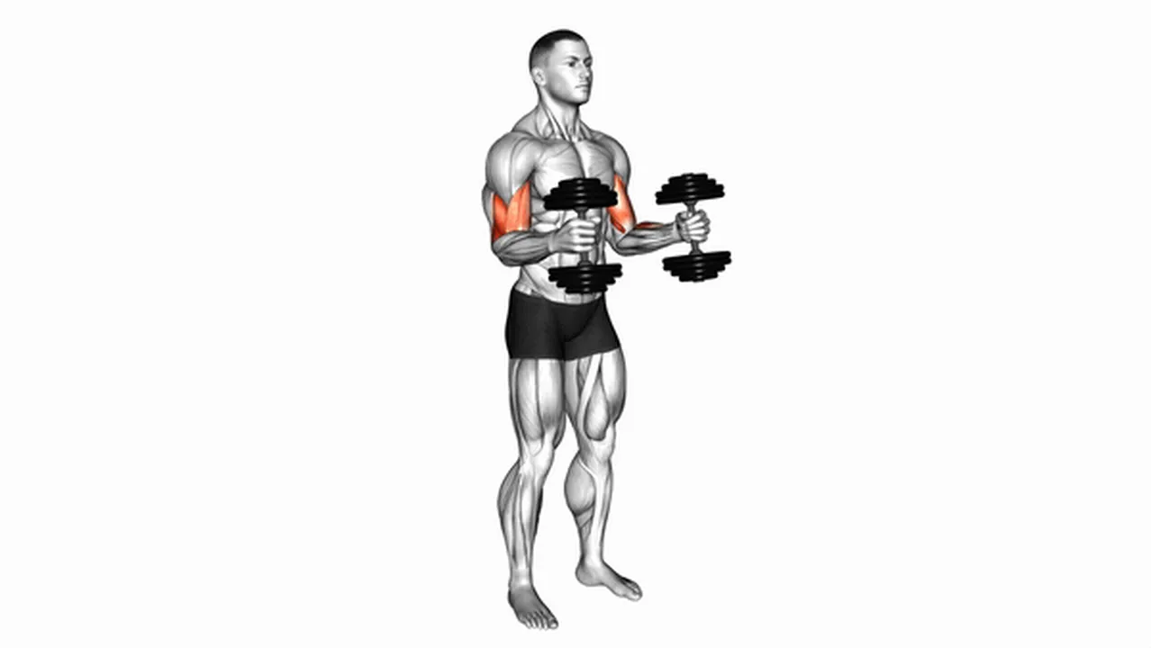 How to do dumbbell hammer curls? Image