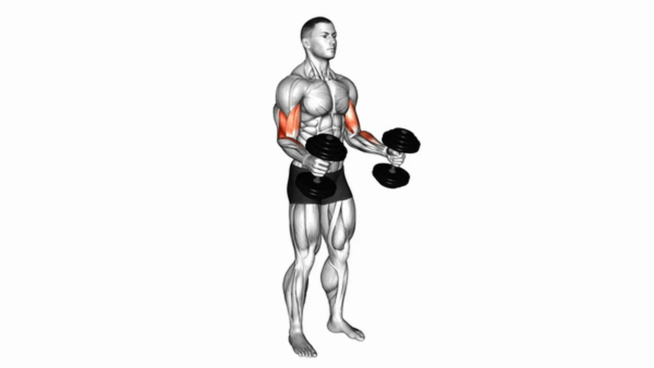 Common dumbbell hammer curl variations Image