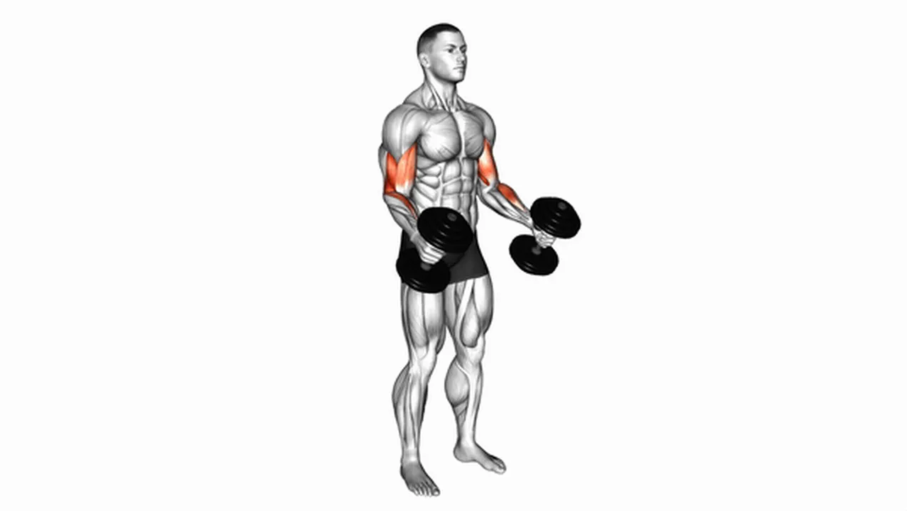 Alternatives to dumbbell hammer curls Image