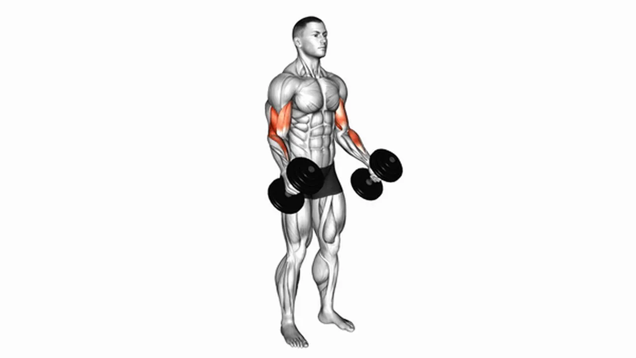 Common mistakes during dumbbell hammer curls Image