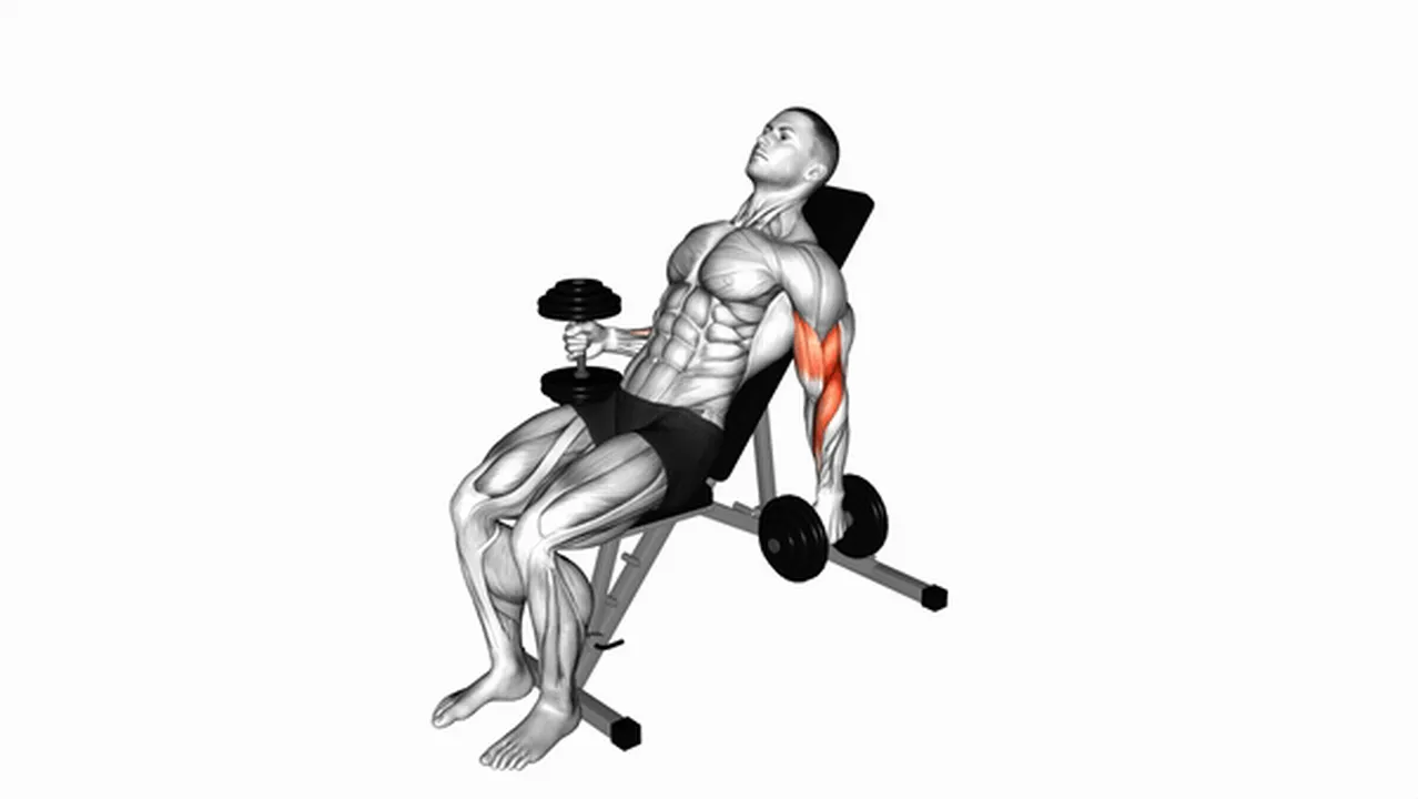 Common variations of Dumbbell Incline Alternate Hammer Curls Image