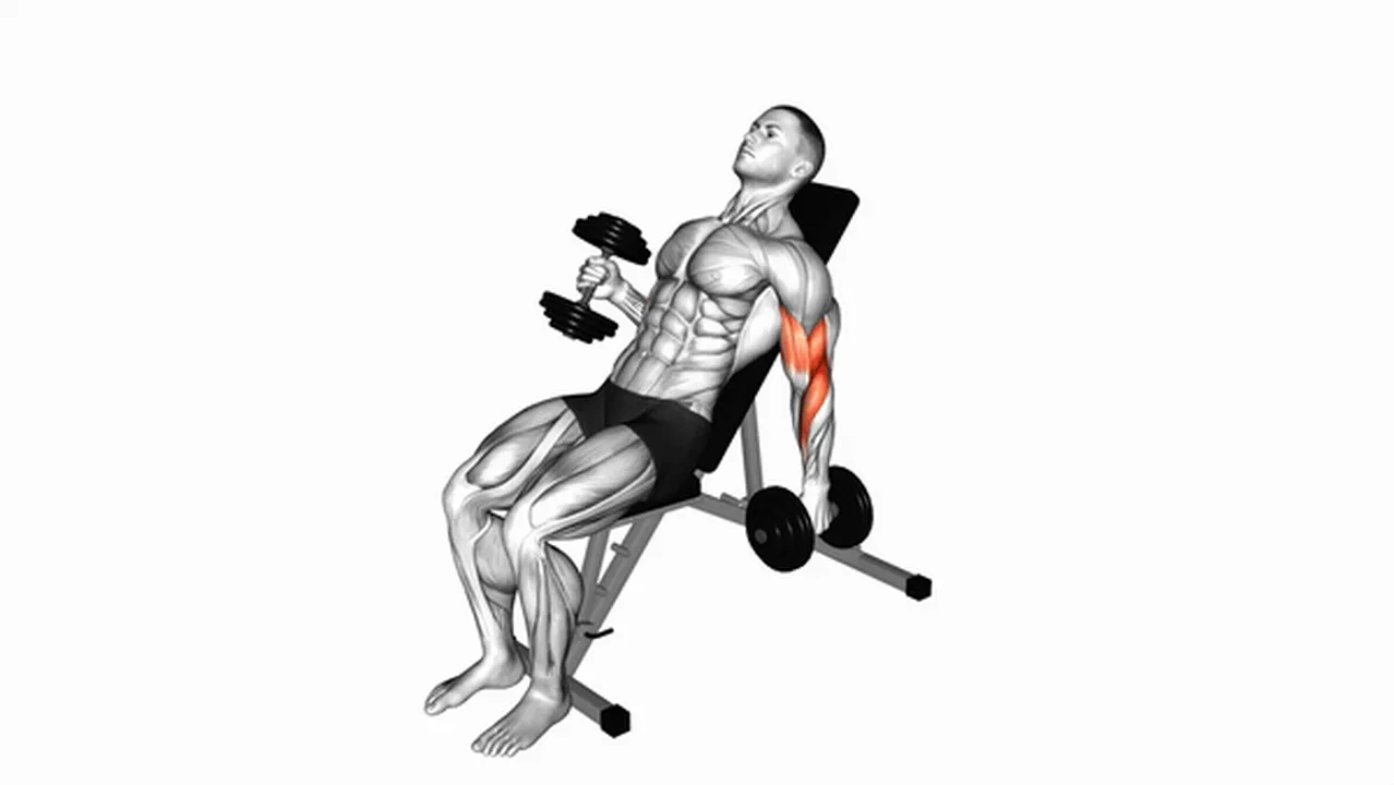 Alternatives to Dumbbell Incline Alternate Hammer Curls Image