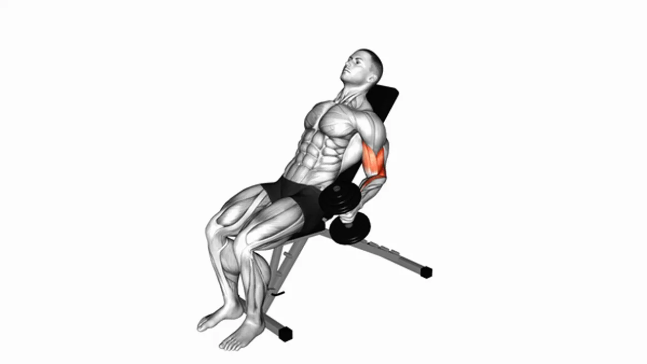 Dumbbell Incline Alternate Hammer Curl