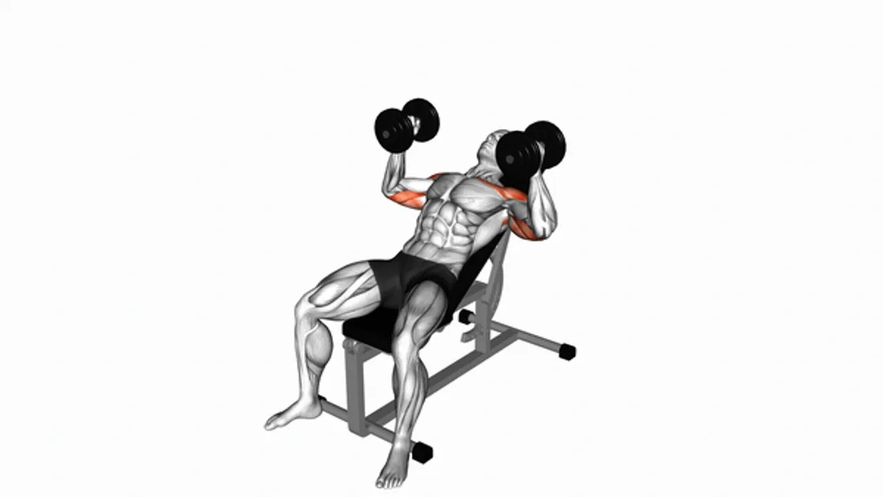 Dumbbell Incline Hammer Press