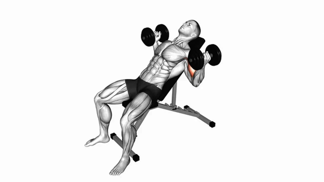 Alternatives to Dumbbell Incline Inner Biceps Curls Image