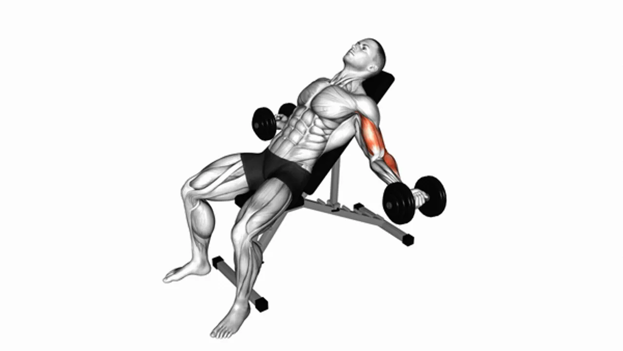 Dumbbell Incline Inner Biceps Curl