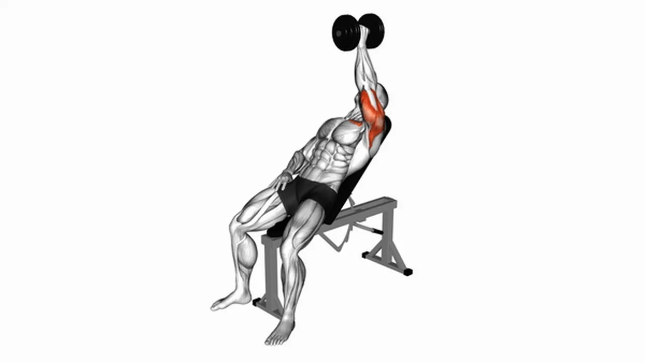 Common variations of the Dumbbell Incline One Arm Hammer Press Image