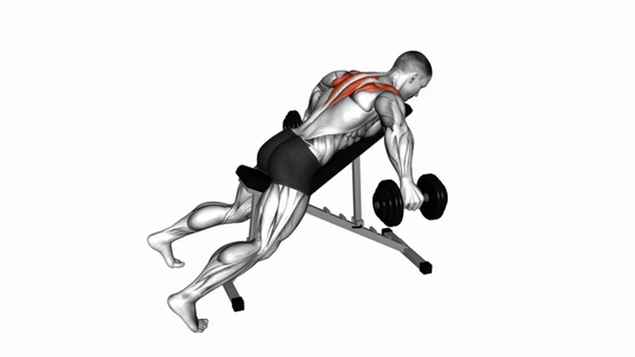 How to do Dumbbell Incline Rear Lateral Raises? Image