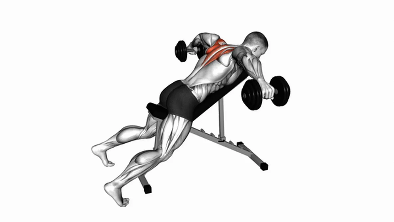 Common Dumbbell Incline Rear Lateral Raise variations Image