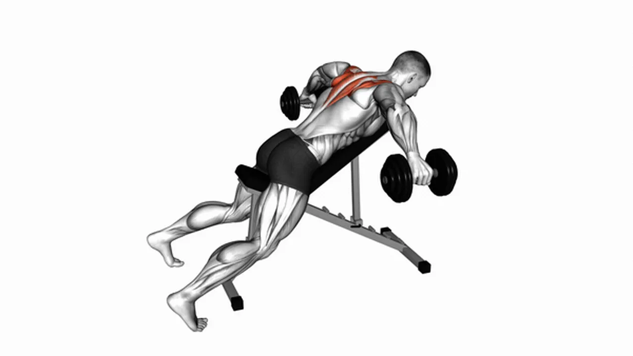 Alternatives to Dumbbell Incline Rear Lateral Raises Image