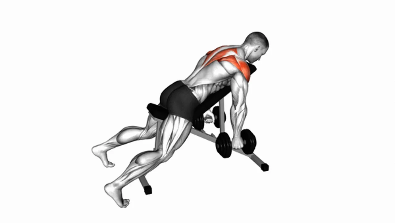 Dumbbell Incline Rear Lateral Raise