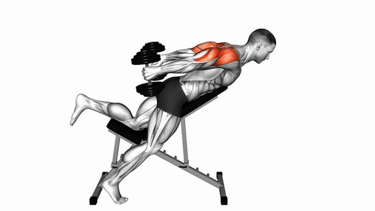 Common dumbbell incline reverse raise variations Image