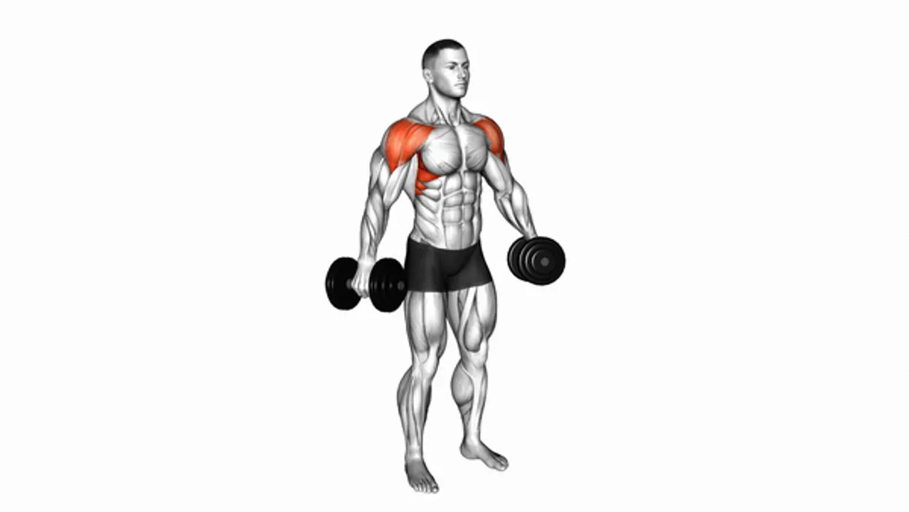 Dumbbell Lateral Raises