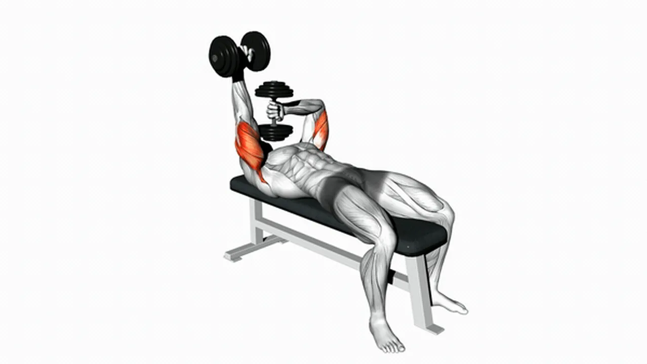 Alternatives to Dumbbell Lying Extensions Image