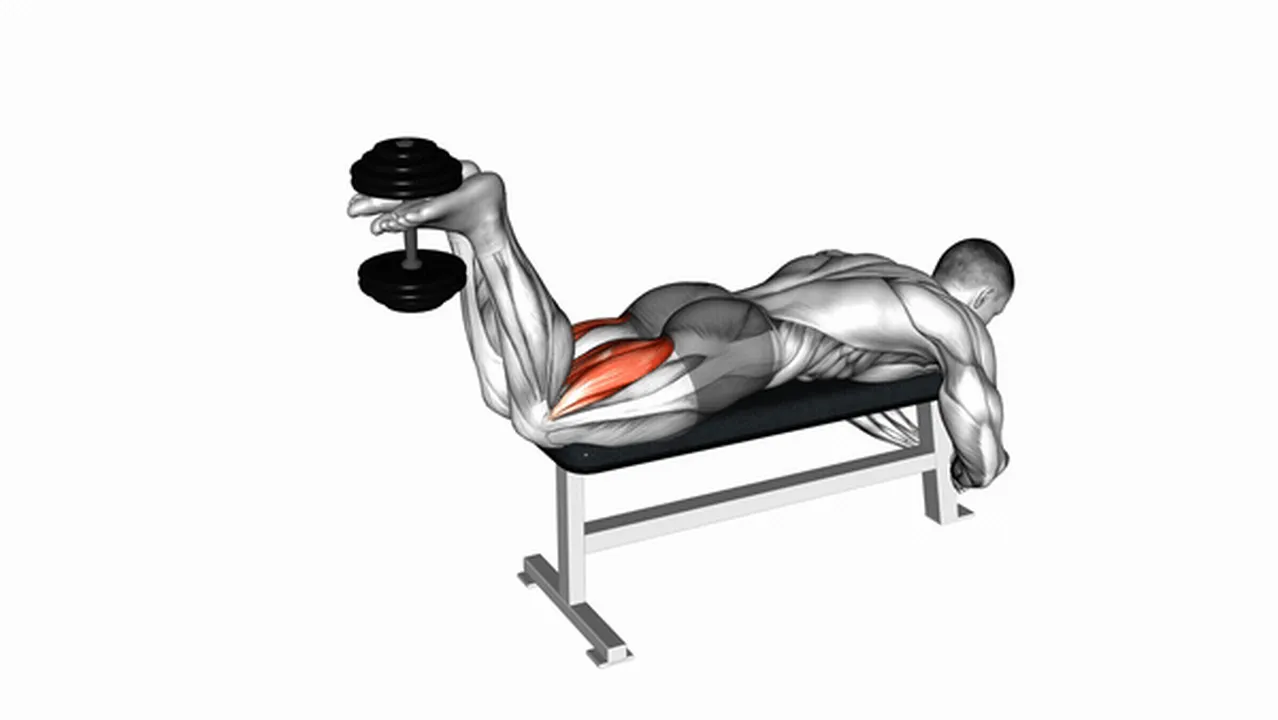 How to do Dumbbell Lying Leg Curls? Image